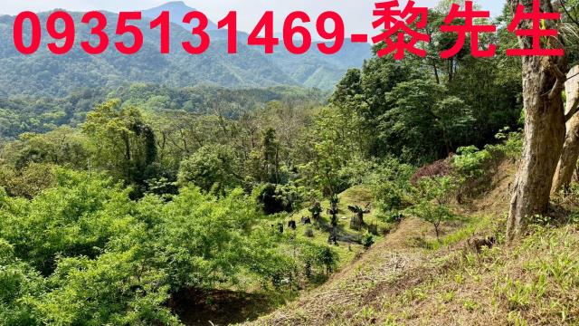 新竹農地-1