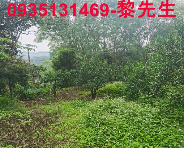 北埔農地-14