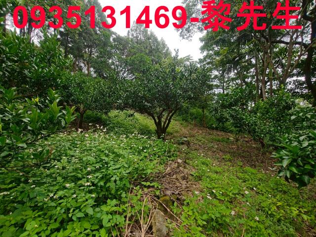 北埔農地-8