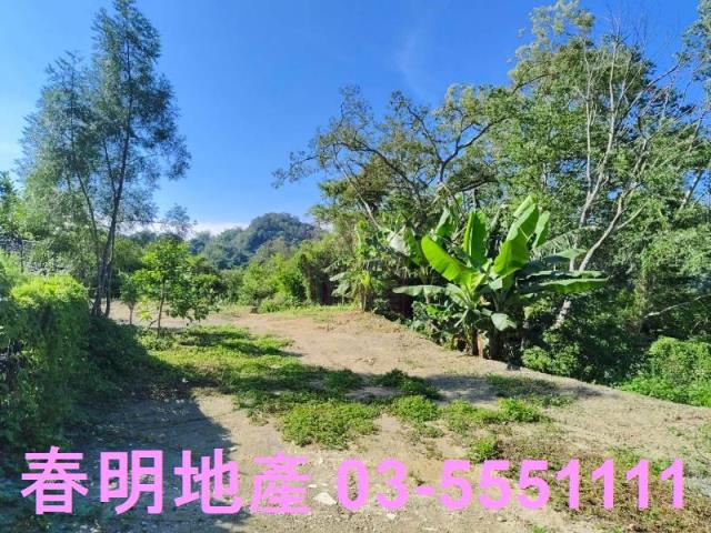 北埔農地-13
