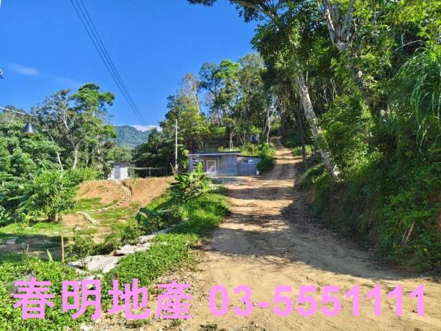 北埔農地-5