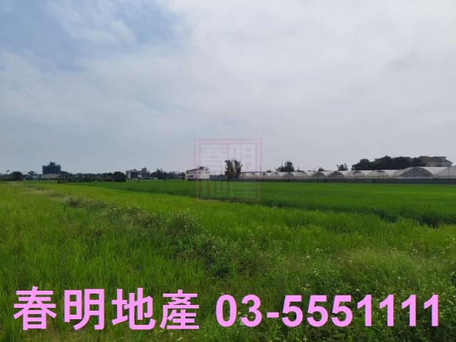 新豐農地-2