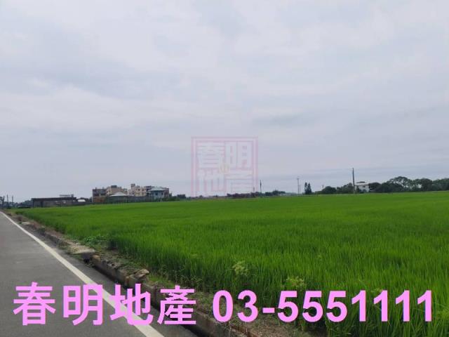 新豐農地-5