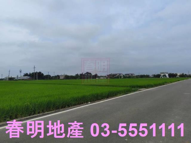 新豐農地-6